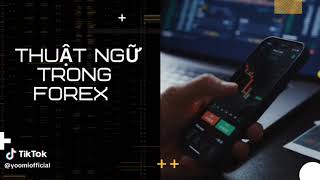 thuật ngữ trong forex chart.lệnh limit là gì?