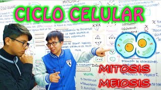 [ BIOLOGÍA FREE ] - CICLO CELULAR | MITOSIS Y MEIOSIS 👉😍🌿