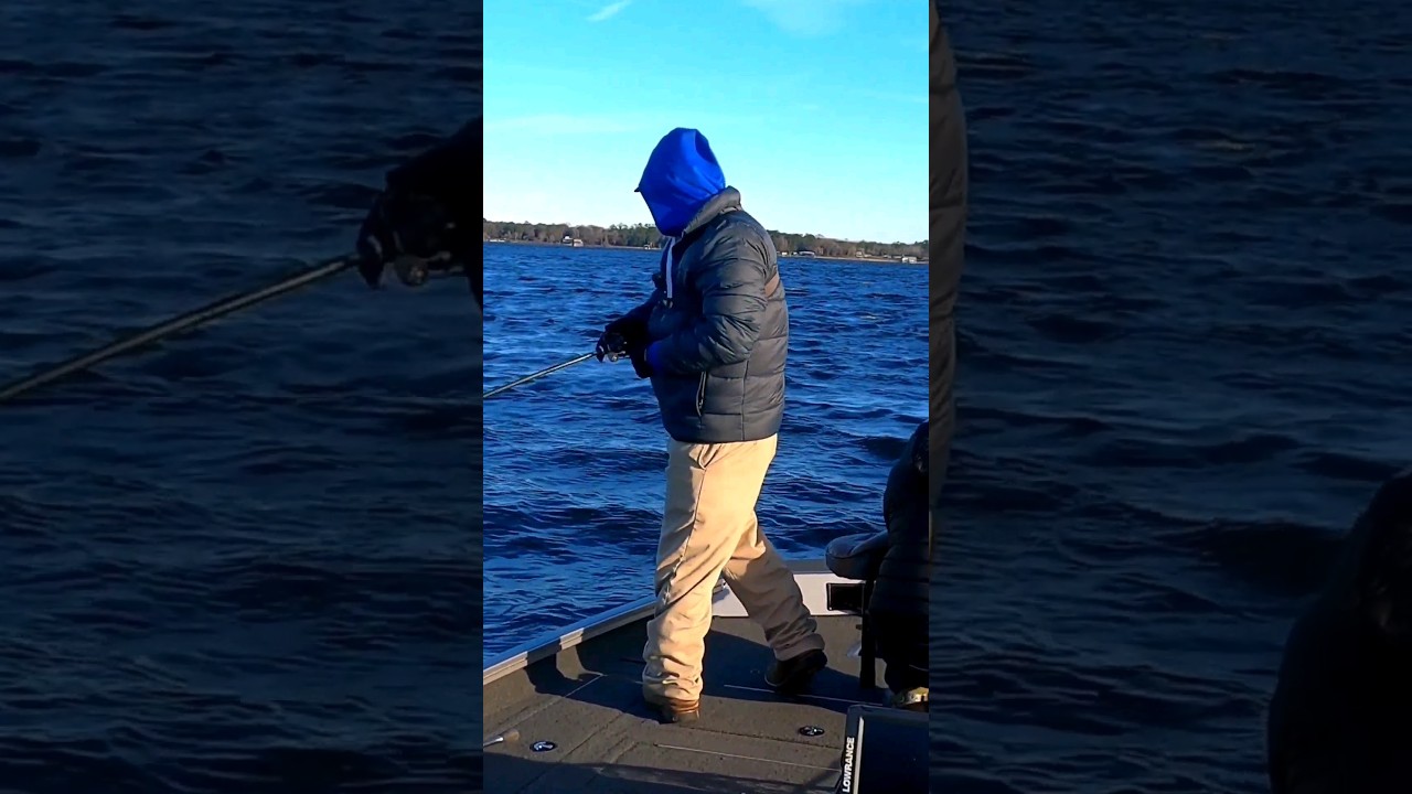 This Bait gets Bass FIRED UP!!!