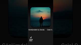 Gönlümdeki Bu Sevda