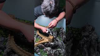 Great Wall of China Aquascape @OliverKnott_aquascaper