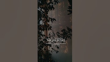 #القران_الكريم #تلاوة_هادئة لا إله إلا الله محمد رسول الله #القران_الكريم #تلاوة_هادئة