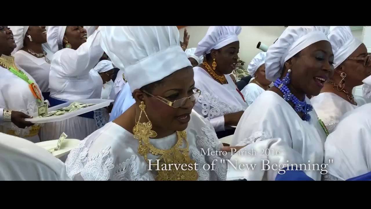 C.C.C Metro Parish 2016 Harvest #1