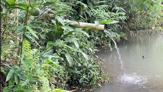 tiis ceuli herang panon #musiksunda