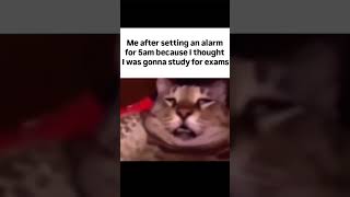 i was gonna😭🥀#memes #relatablememes #explore #explorepage #fypage