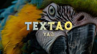 Yan - Textão (Lyrics/Letra)