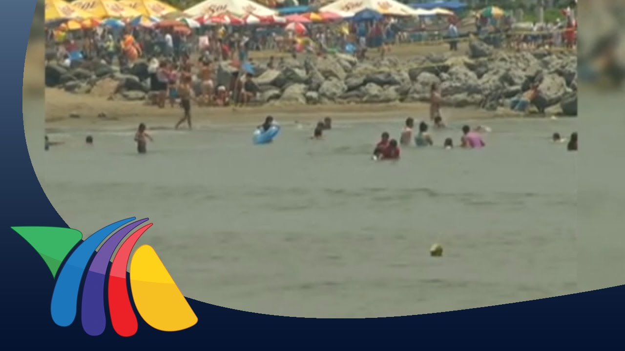 Qué hacer cuando se pierde un niño | Noticias de Veracruz