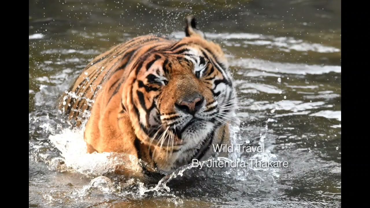 How I resolve my DJI OM5 Bluetooth connection issue?