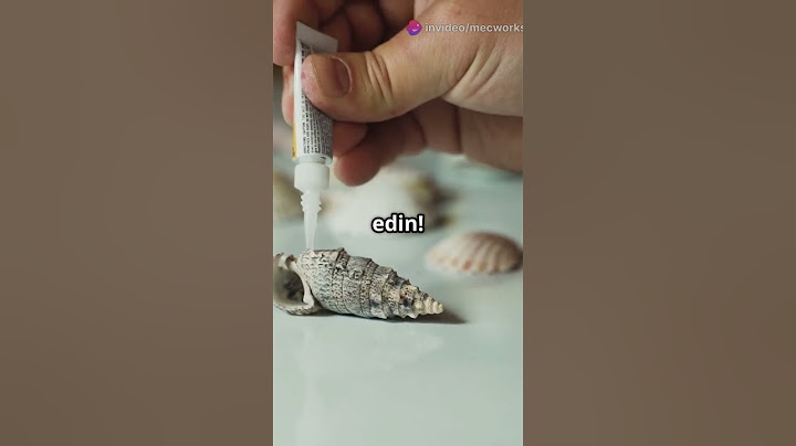 Deniz Kabuklarından Takı Yapımı #denizkabuğu #evdekendinyap #kendinyap #denizkumgüneş