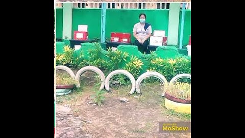 Module Coordinators during MECQ April 12, 2021