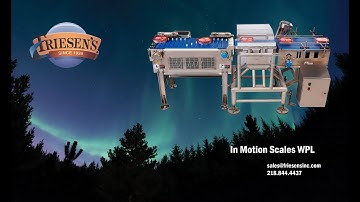 A Custom Friesen