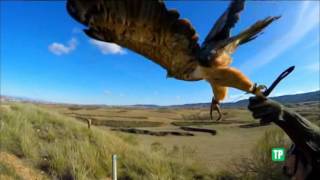 TVE1 Continuity 22 March 2017 3 -576p widescreen-