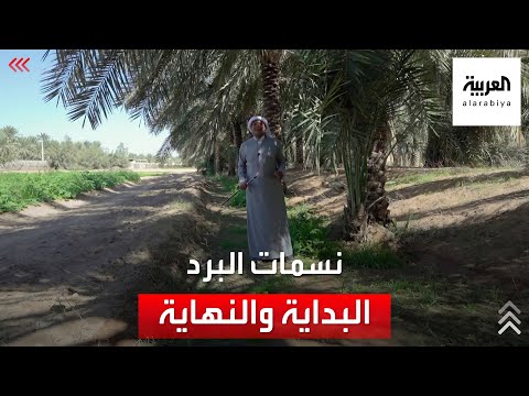 تقويم متى تكون أولى نسمات البرد ومتى آخرها
