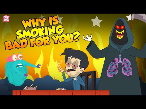 Why Is Smoking Bad For You? | Don't Smoke | The Dr Binocs Show | Peekaboo Kidz