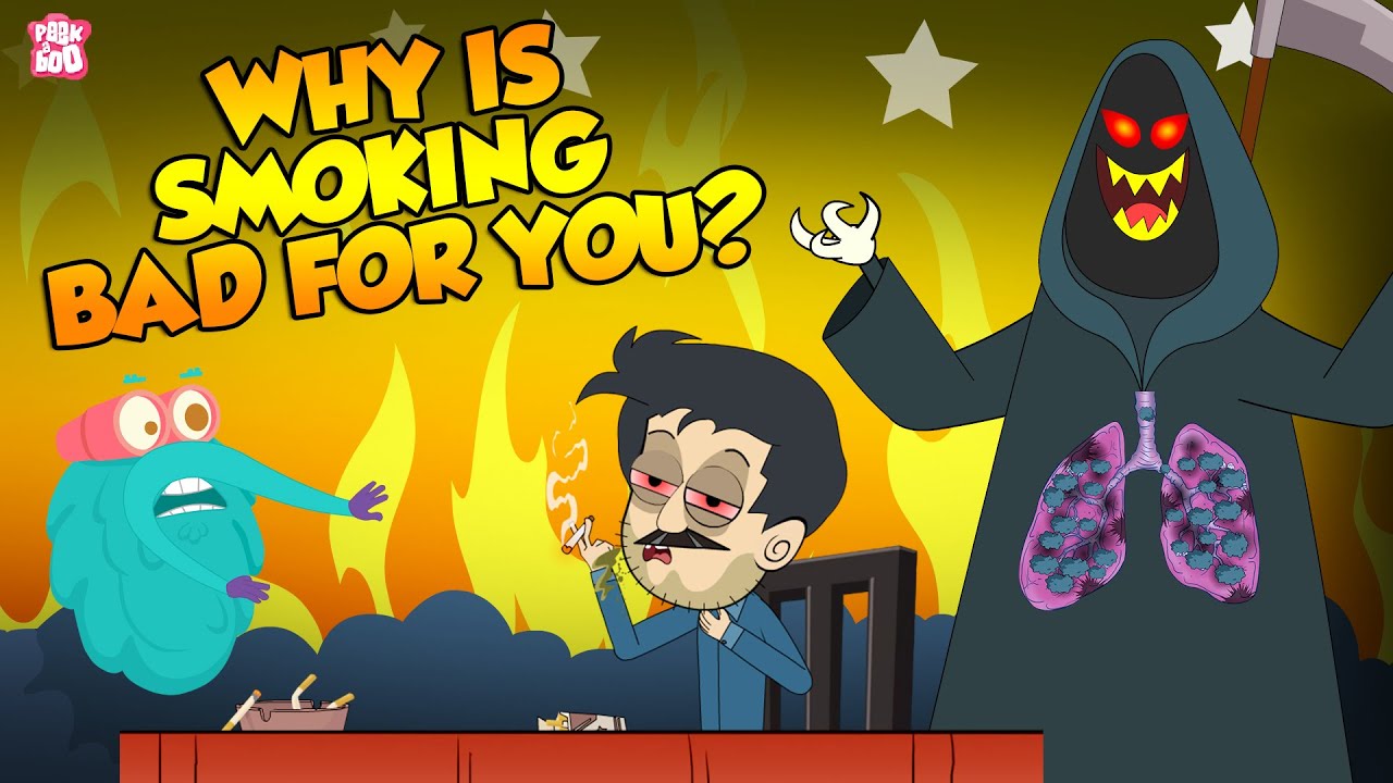 Smoke is bad for you. Smoke is bad for you