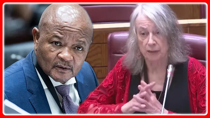 Prof Mary De Haas Ends Evidence To AD HOC Committee On The Letters She Wrote Minister Mchunu