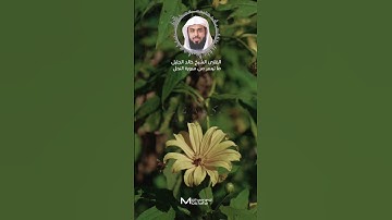 ما تيسر من #سورة_النحل القارئ الشيخ #خالد_الجليل