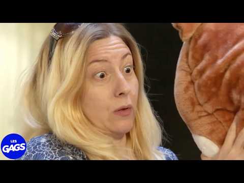 Elle ne s'attendait pas à le voir | Juste Pour Rire Les Gags