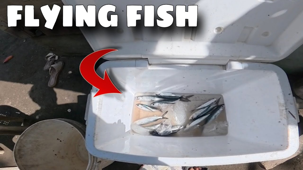 ANG DAMING NAHULING FLYING FISH