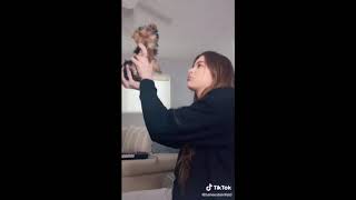 Hailee Steinfeld Tiktok Compilation