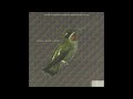 Semiacoustic Nature - Semiacoustic Nature [Full Album]