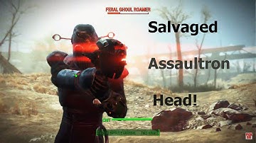 Fallout 4 Automatron DLC: Salvaged Assaultron Head. Yeah, You Can Weaponize A Robot Head.