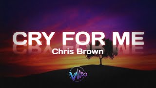 Chris Brown - Cry for me (Lyrics)