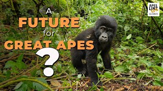 A Future for Great Apes? by Apes Like Us 3,049 views 2 years ago 3 minutes, 16 seconds
