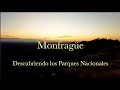 Descubriendo los Parques Nacionales - Monfragüe