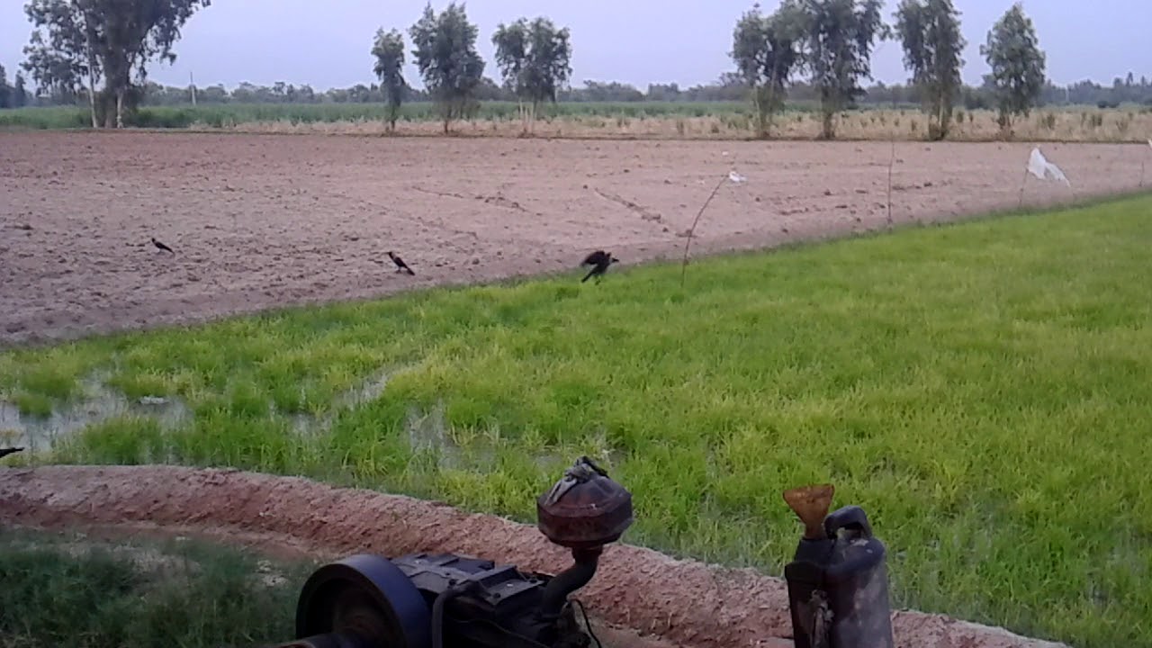 Dehati Vidio - YouTube