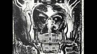 Hed Pe - Intro