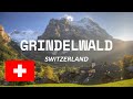 Nestled in the heart of the swiss alpsgrindelwald switzerland travel guide and things grindelwald