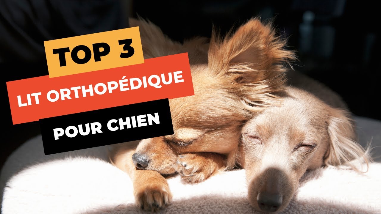 Lit Orthopédique Pour Grand Chien INVENHO – Lavable, 89x63x25 Cm, Fond Antidérapant