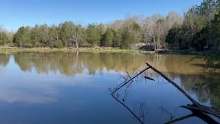 Mississippi hunting lease now available on HLRBO!
