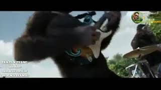 TAK TUN TUANG BAND KINGKONG Lagu aku belum mandi versi orang hutan