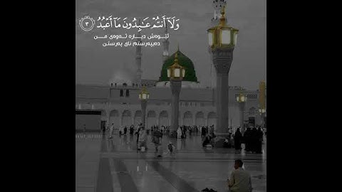 سورة الكافرون بصوت سعد الغامدي أجمل تلاوات