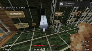 Minecraft PS4 Echolocation Trophy