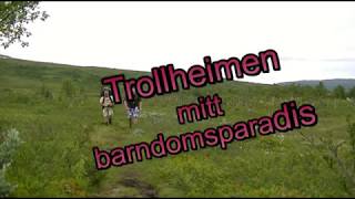 Filmsnutt Trollheimen
