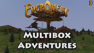 Everquest Live! - Multibox Adventures - 3 - South Karana