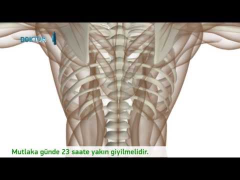 Omur Eğriliği Nedir?