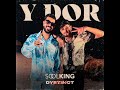 Soolking ft. DYSTINCT- Y Dor ( Vocals Only)
