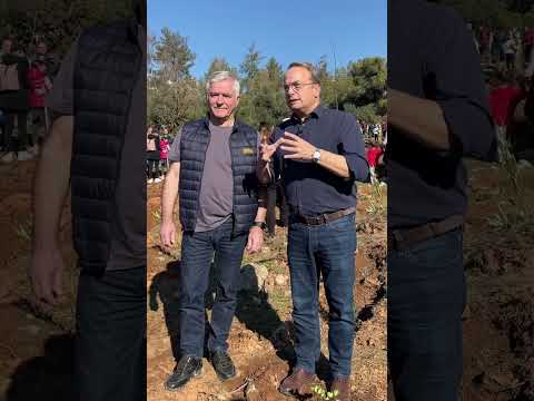 Μεγάλη αναδάσωση στο