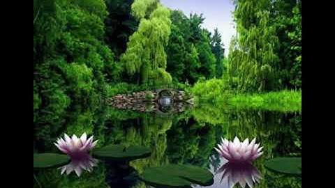 أرح سمعك سالم الرويلي سورة النبا🌸☘️