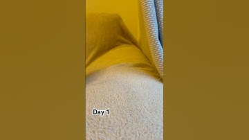 Day 1 of looping until I go viral #shorts #viral #loop