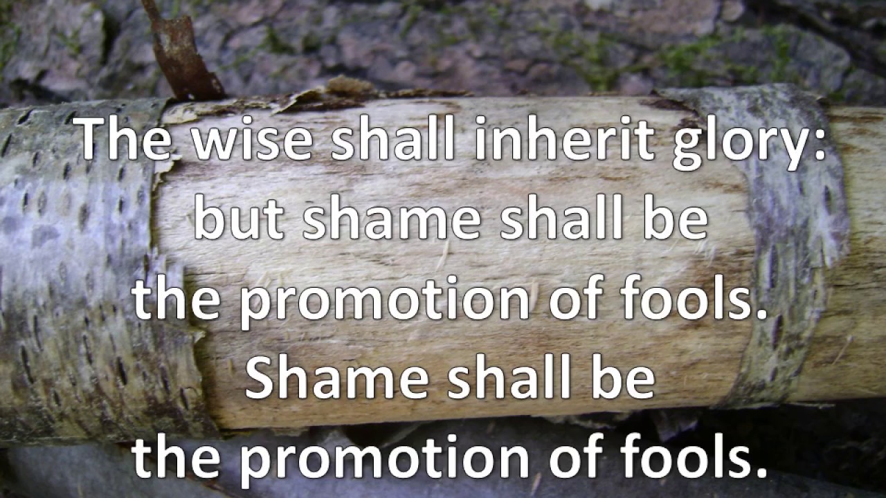 proverbs-3-34-35-surely-he-scorneth-the-scorners-kjv-singalong-w