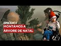 EP 2 🎁 montámos a árvore de Natal