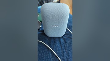Google nest speaker won