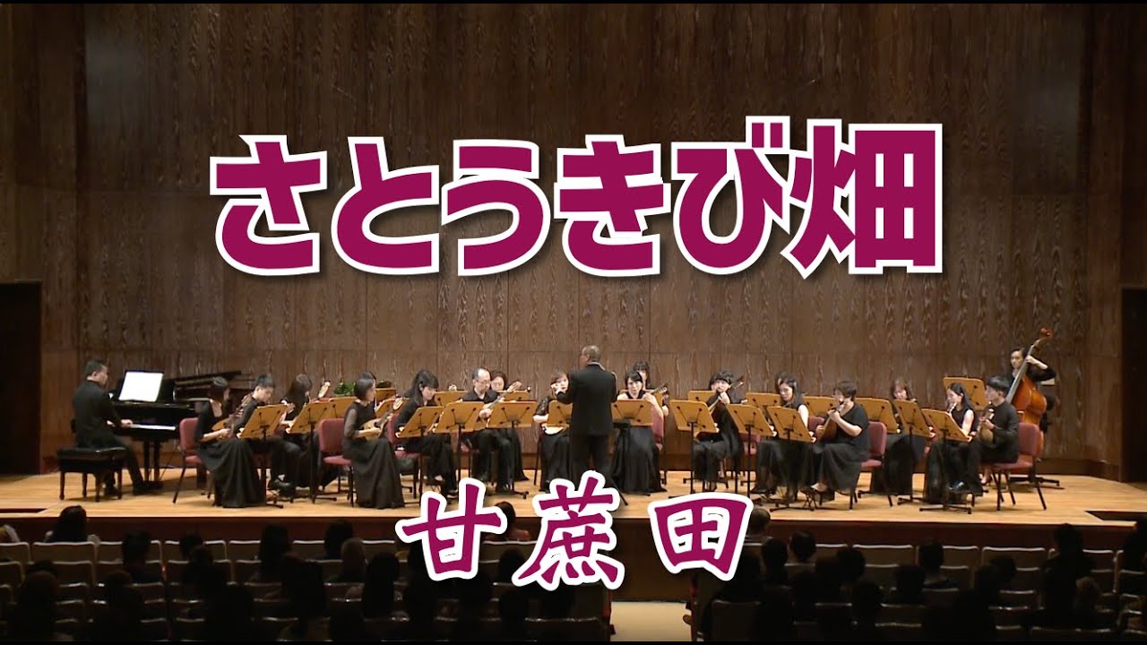 《さとうきび畑》（甘蔗田）：寺島尚彥 作曲、武藤理恵 編曲｜原唱：森山良子｜Taiwan Mandolin Ensemble｜✨那些年 阿公阿嬤的回憶
