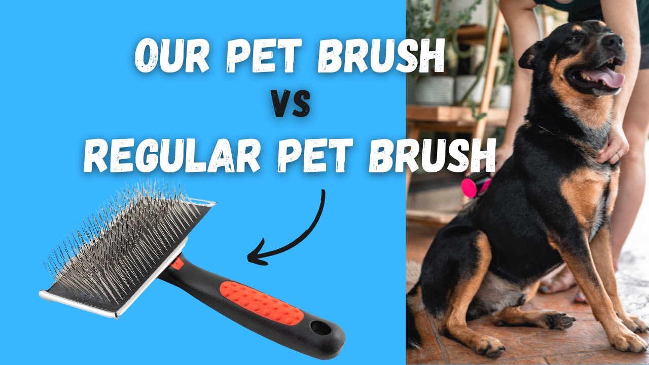 Is this the BEST Pet Brush? We compare our SilkyBrush vs a regular pet