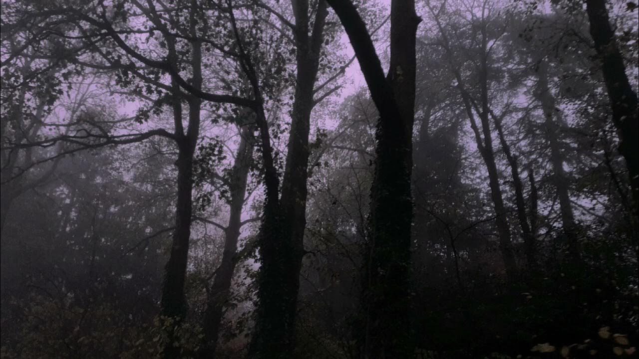 Cigarettes out the window x dangerously yours. Cigarettes out the window x dangerously yours. Cigarettes out the window x dangerously yours. Cigarettes out the window x dangerously yours. Dangerously yours (1944).